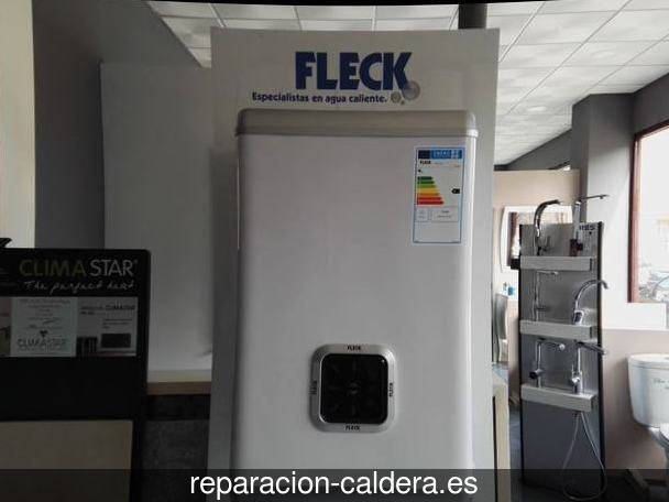 Reparación Calderas Saunier Duval en Zarra