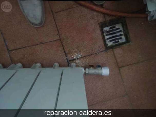 Reparación Calderas Saunier Duval Torrent