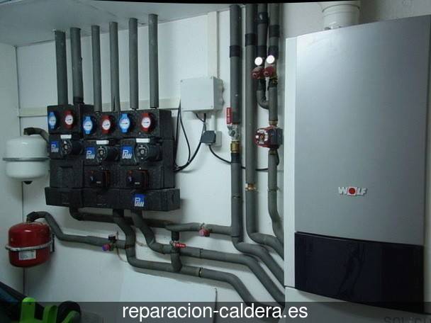 Reparación Calderas Saunier Duval Xeraco