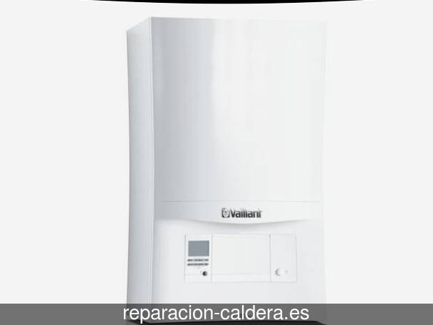 Reparación calderas Roca en Yesa