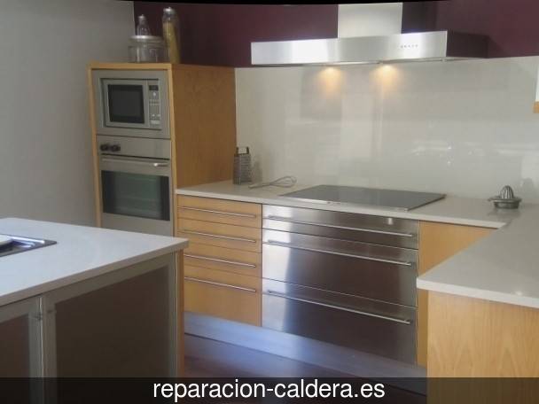 Reparación calderas de gas Zarra