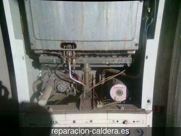 Reparar calderas de gas Torrent