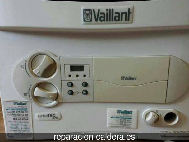 Reparación calderas junkers Torrent