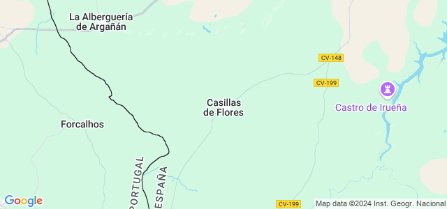 Mapa de Casillas de Flores