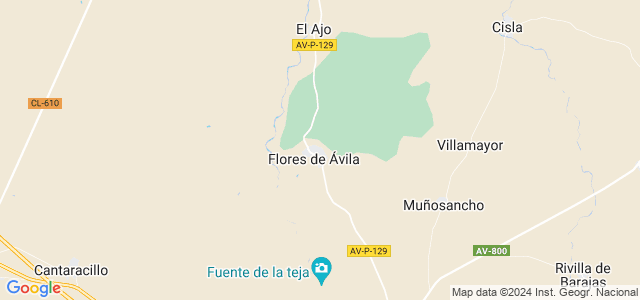 Mapa de Flores de Ávila
