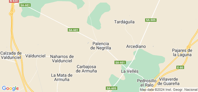 Mapa de Palencia de Negrilla