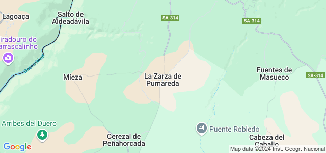 Mapa de Zarza de Pumareda