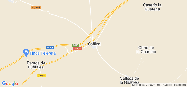 Mapa de Cañizal